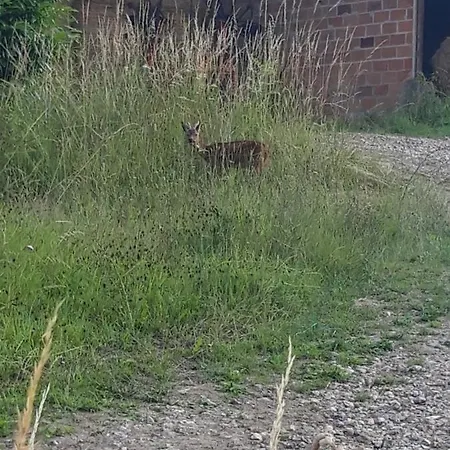 D'hotes Chez Cbl Deco Pause Charmante En Normandie Bed & Breakfast