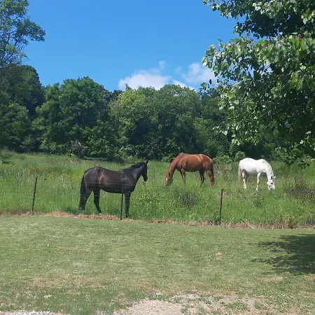 D'hotes Chez Cbl Deco Pause Charmante En Normandie Bed & Breakfast